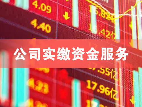 新乡公司实缴资金服务